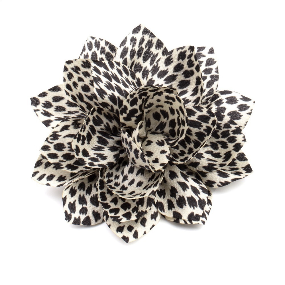 ANIMAL Print Hair Clip - Picture 1 of 1